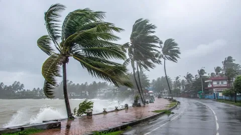 आज का मौसम 13 अगस्त: 10 घंटे के भीतर 16 राज्यों में मूसलाधार बारिश का अलर्ट, 80 की स्पीड से हवा; IMD का अलर्ट